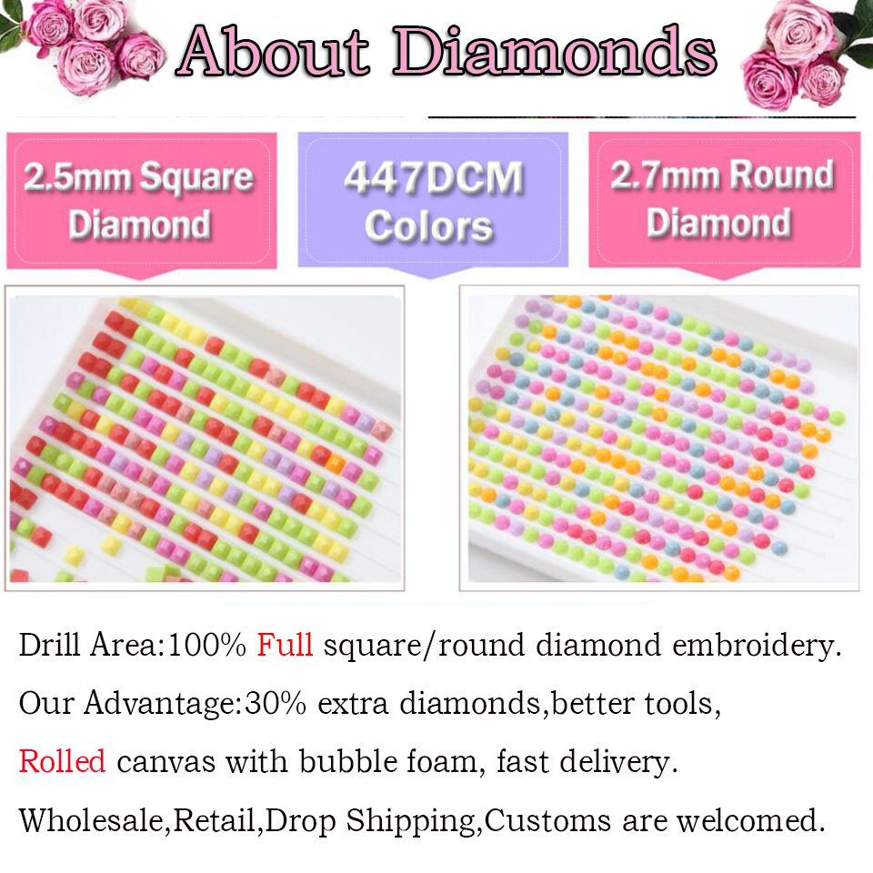 5D Diy Diamond Painting Beauti - Women Bags Europe บทวิจารณ์และราคา